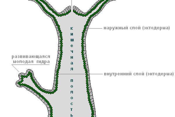 Площадка мега даркнет mega zerkalo