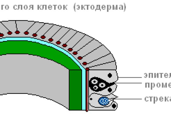 Рабочее зеркало darknet mega