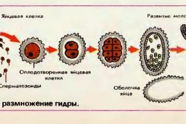 Обмен ссылками мега тг